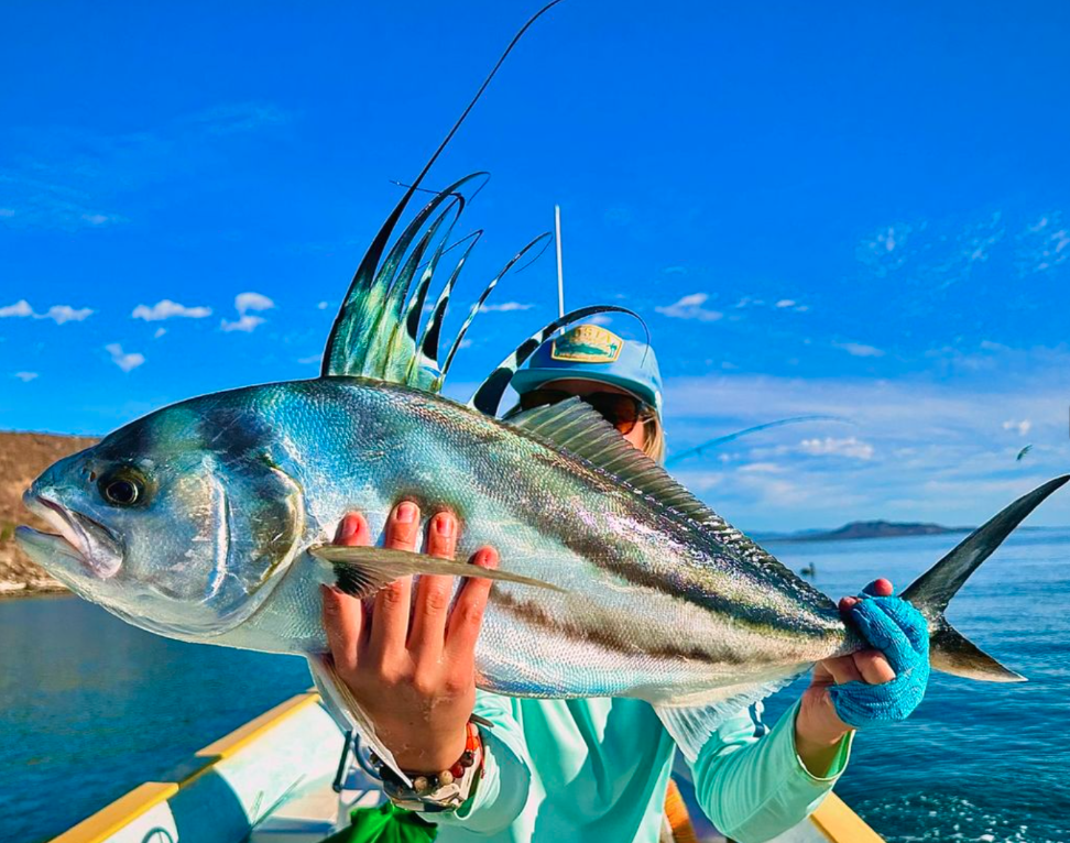 mariah flyfishing roosterfish in baja mexico